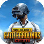 PUBG MOBILE【国际版】(永久包更新)-大苹果