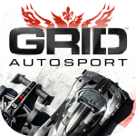 超级房车赛:汽车运动 GRID™ Autosport-大苹果